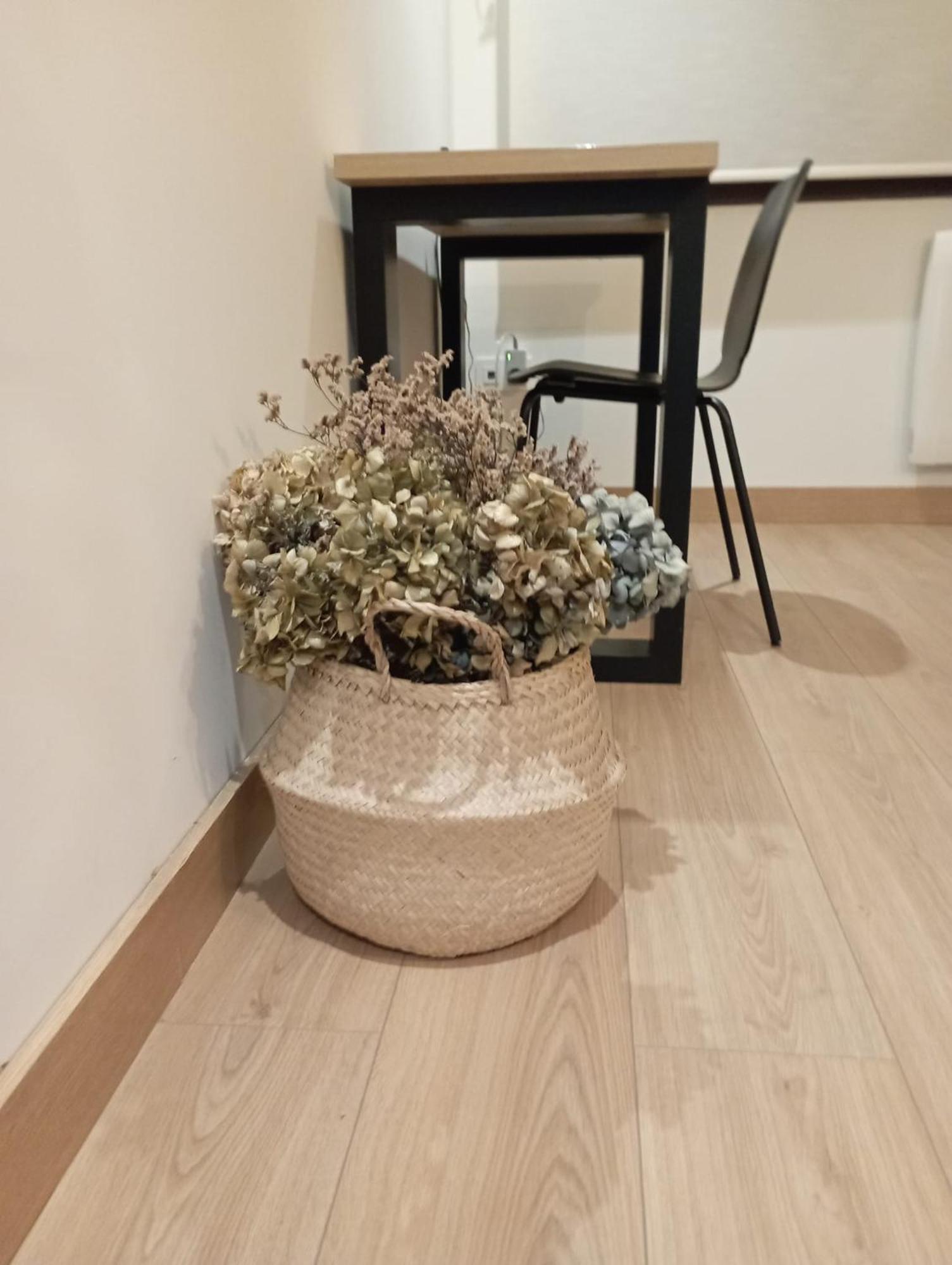 Apartment Vior Y Valdes *